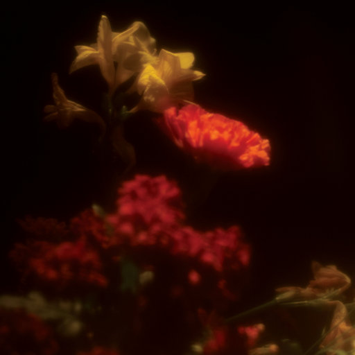 柳菁菁专辑萃高清图片欣赏
